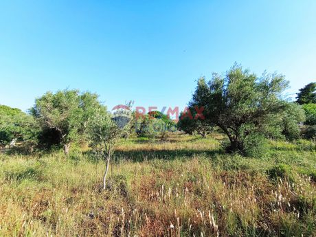 Land plot 1.542sqm for sale-Com. Skalas Oropou