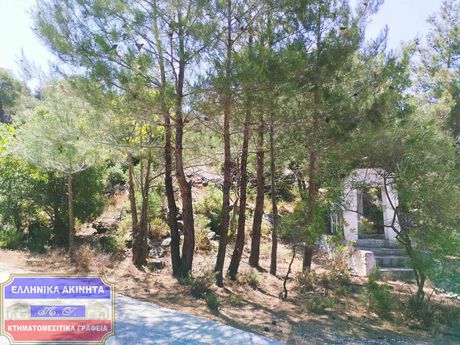 Οικόπεδο 2.000τ.μ. για πώληση-Θάσος