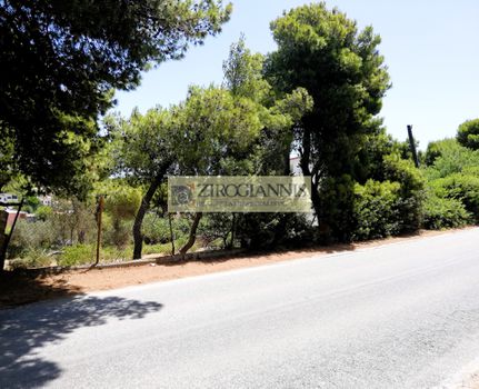 Land plot 1.169sqm for sale-Rafina