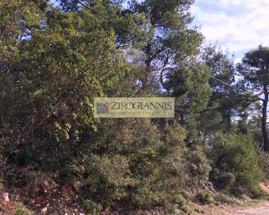 Land plot 1.049sqm for sale-Afidnes