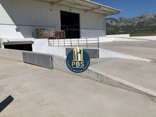 Αποθήκη 3.325τ.μ. για ενοικίαση-Μέγαρα