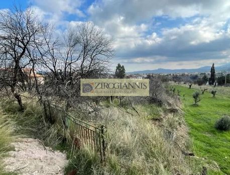 Parcel 1.200sqm for sale-Afidnes