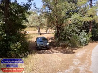 Αγροτεμάχια 800 τ.μ. για πώληση, Ν. Καβάλας, Θάσος-thumb-2
