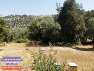 Αγροτεμάχια 800 τ.μ. για πώληση, Ν. Καβάλας, Θάσος-thumb-1