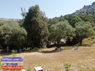 Αγροτεμάχια 800 τ.μ. για πώληση, Ν. Καβάλας, Θάσος-thumb-3