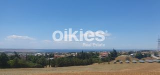 Αγροτεμάχια 8.250 τ.μ. για πώληση