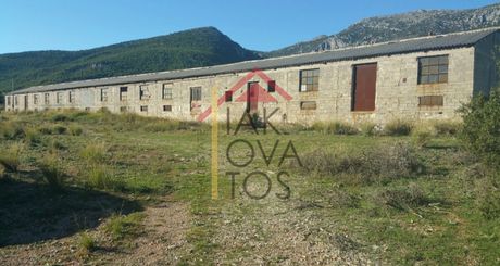 Αίθουσα 600τ.μ. για ενοικίαση-Οινόη