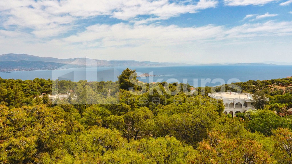 Οικόπεδο 1.500 τ.μ. προς πώληση, Πευκάλι