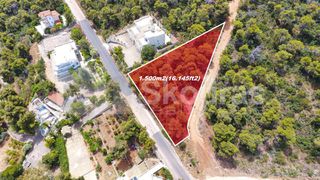 Οικόπεδο 1.500 τ.μ. για πώληση