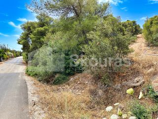 Οικόπεδο 1.500 τ.μ. για πώληση, Κορινθία, Σολύγεια-thumb-17