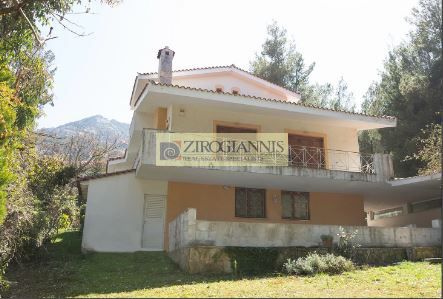 Detached home 242sqm for sale-Dionisos