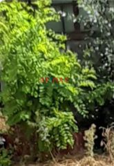 Οικόπεδο 121 τ.μ. για πώληση