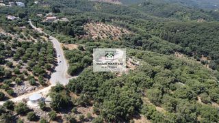 Οικόπεδο 4.023 τ.μ. για πώληση, Ν. Κέρκυρας, Κέρκυρα-thumb-10