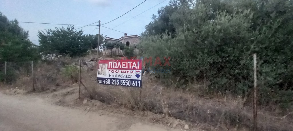 Οικόπεδο 3.000 τ.μ. προς πώληση, Μαρκόπουλο Ωρωπού