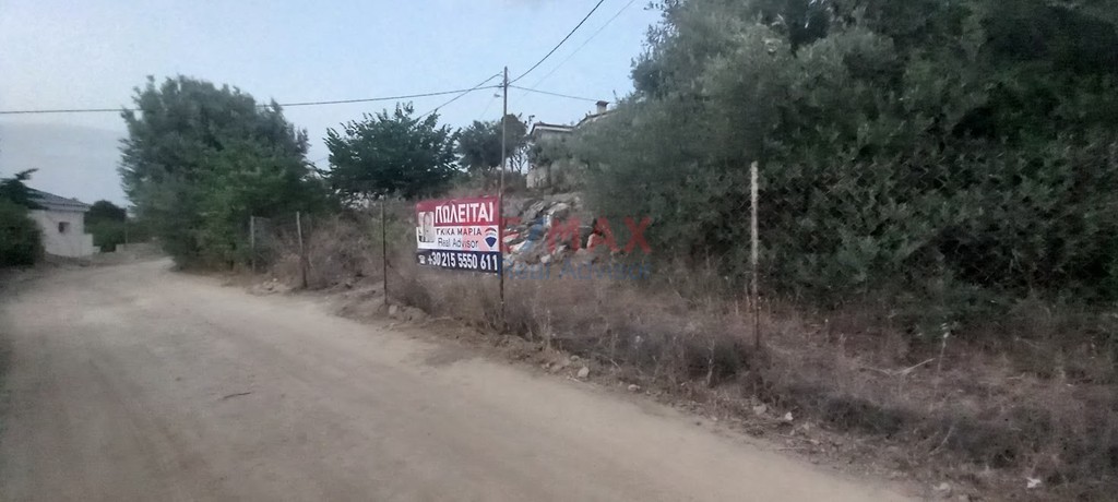 Οικόπεδο 3.000 τ.μ. προς πώληση, Μαρκόπουλο Ωρωπού