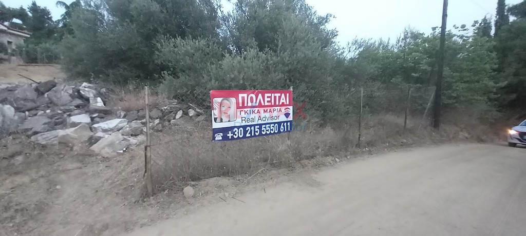 Οικόπεδο 3.000 τ.μ. προς πώληση, Μαρκόπουλο Ωρωπού