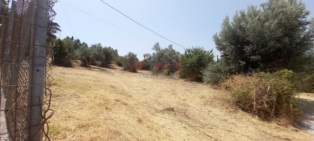Οικόπεδο 3.000 τ.μ. προς πώληση, Μαρκόπουλο Ωρωπού