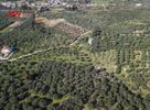 Land plot 2.270,7sqm for sale-Vamos