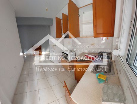 Studio 32 sqm for rent
