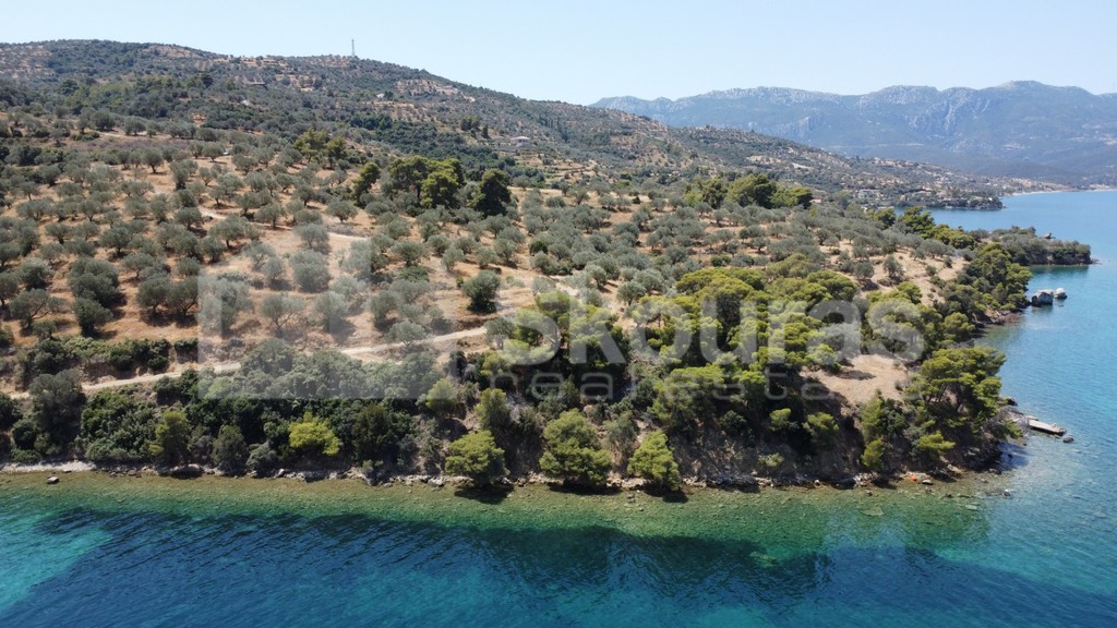 Αγροτεμάχια 39.188 τ.μ. προς πώληση, Μεταμόρφωση Τροιζήνας