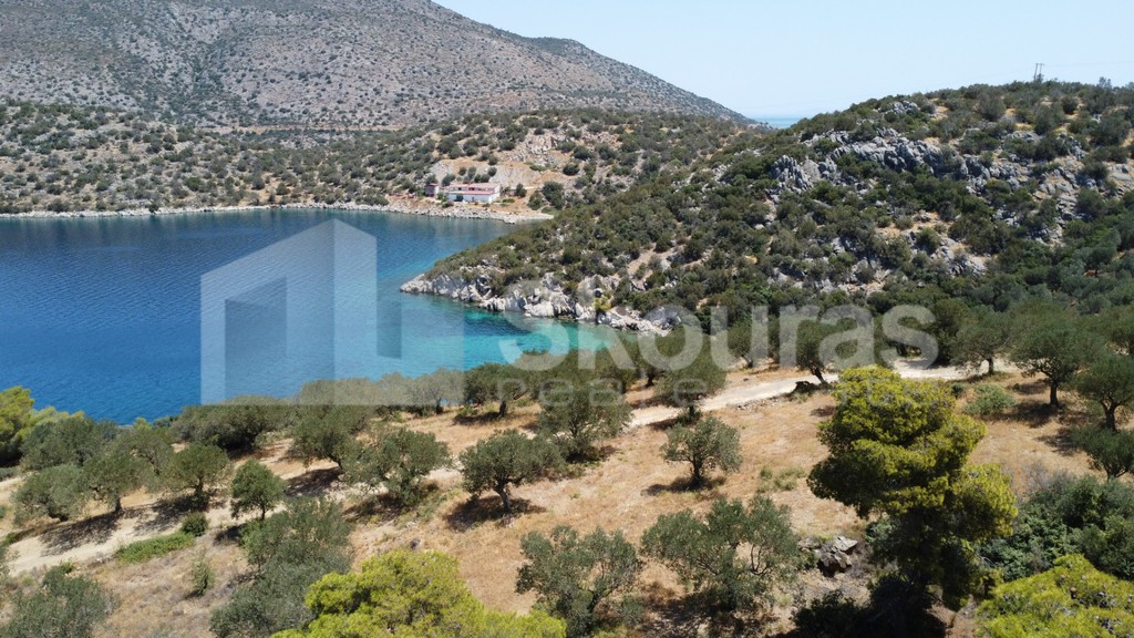 Αγροτεμάχια 39.188 τ.μ. προς πώληση, Μεταμόρφωση Τροιζήνας