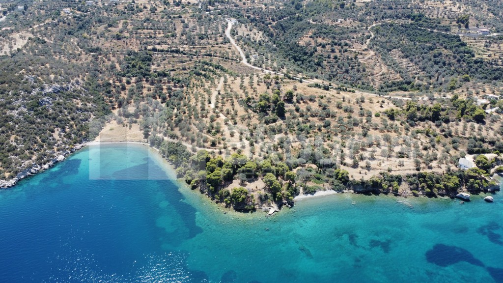 Αγροτεμάχια 39.188 τ.μ. προς πώληση, Μεταμόρφωση Τροιζήνας