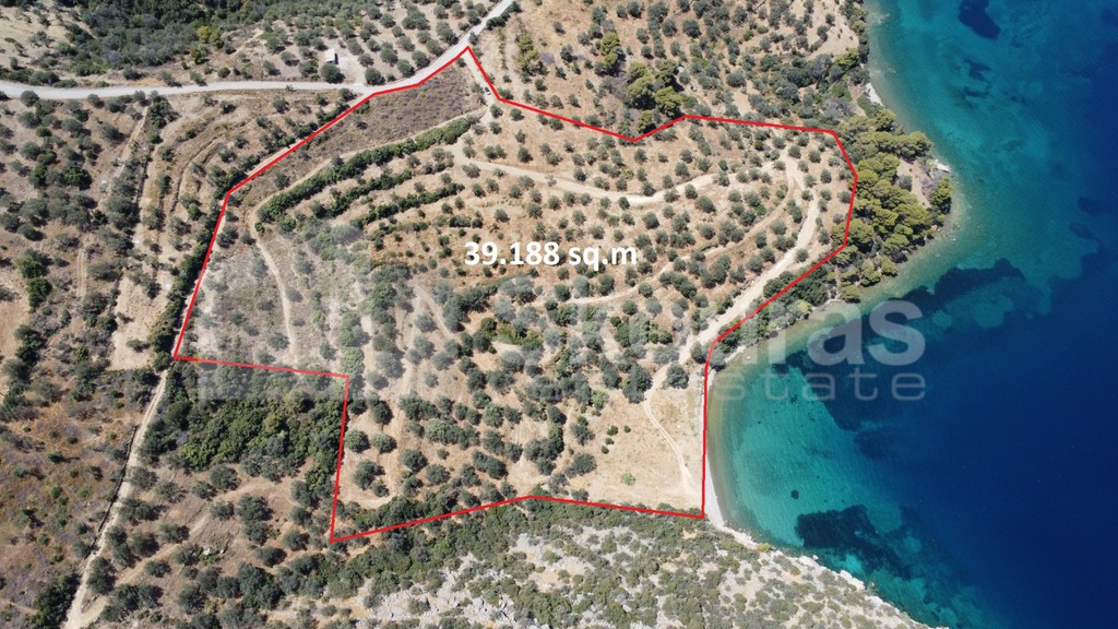 Αγροτεμάχια 39.188 τ.μ. προς πώληση, Μεταμόρφωση Τροιζήνας