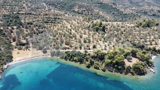 Αγροτεμάχια 39.188 τ.μ. για πώληση