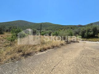 Οικόπεδο 418 τ.μ. για πώληση, Αργολίδα, Επίδαυρος-thumb-12