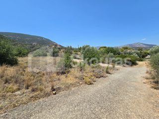 Οικόπεδο 418 τ.μ. για πώληση, Αργολίδα, Επίδαυρος-thumb-7