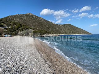 Αγροτεμάχια 5.138 τ.μ. για πώληση, Αρκαδία, Απόλλωνας-thumb-21