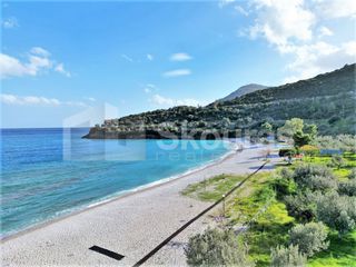 Αγροτεμάχια 5.138 τ.μ. για πώληση, Αρκαδία, Απόλλωνας-thumb-15
