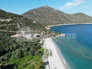 Αγροτεμάχια 5.138 τ.μ. για πώληση, Αρκαδία, Απόλλωνας-thumb-4