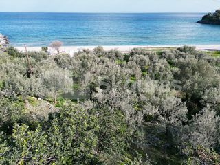 Αγροτεμάχια 5.138 τ.μ. για πώληση, Αρκαδία, Απόλλωνας-thumb-8