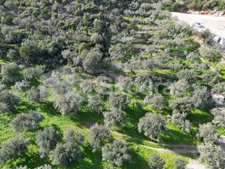 Αγροτεμάχια 5.138 τ.μ. για πώληση, Αρκαδία, Απόλλωνας-thumb-7