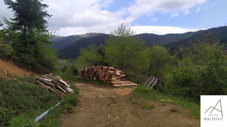 Land plot 342,88sqm for sale-Karpenisi