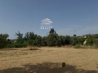 Οικόπεδο 1.193 τ.μ. για πώληση, Εύβοια, Αιδηψός-thumb-4