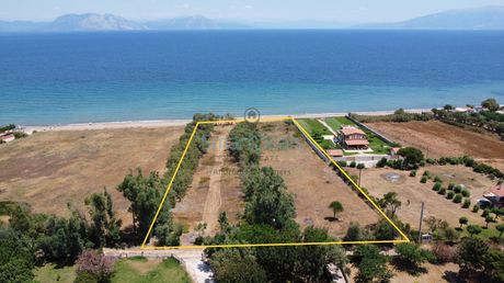 Οικόπεδο 10.000 τ.μ. για πώληση