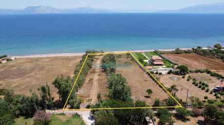Οικόπεδο 10.000τ.μ. για πώληση-Λάρισσος