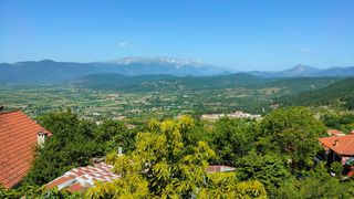 Συγκρότημα διαμερισμάτων 175 τ.μ. για πώληση, Ν. Ιωαννίνων, Κόνιτσα-thumb-8