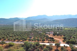 Οικόπεδο 3.155 τ.μ. για πώληση, Μεσσηνία, Άριο-thumb-5