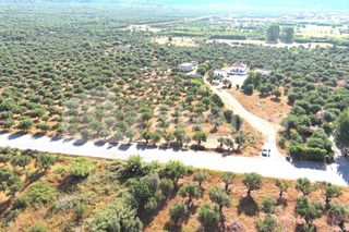 Οικόπεδο 3.155 τ.μ. για πώληση, Μεσσηνία, Άριο-thumb-1
