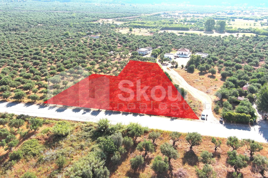 Οικόπεδο 3.155 τ.μ. για πώληση, Μεσσηνία, Άριο