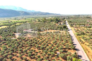 Οικόπεδο 3.155 τ.μ. για πώληση, Μεσσηνία, Άριο-thumb-8