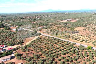 Οικόπεδο 3.155 τ.μ. για πώληση, Μεσσηνία, Άριο-thumb-11