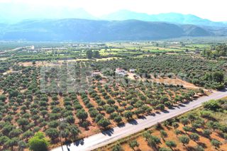 Οικόπεδο 3.155 τ.μ. για πώληση, Μεσσηνία, Άριο-thumb-7