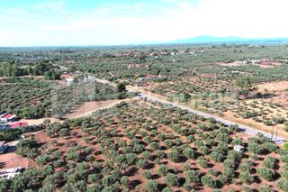 Οικόπεδο 3.155 τ.μ. για πώληση, Μεσσηνία, Άριο-thumb-9