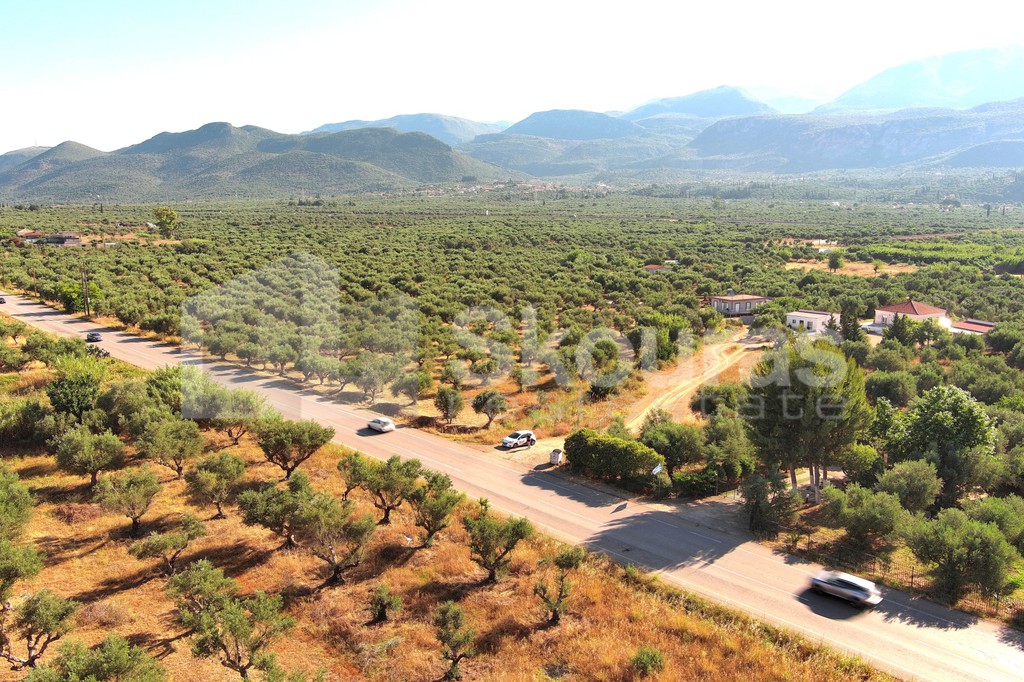 Οικόπεδο 3.155 τ.μ. προς πώληση, Άριο