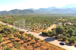 Οικόπεδο 3.155 τ.μ. για πώληση, Μεσσηνία, Άριο-thumb-3