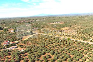 Οικόπεδο 3.155 τ.μ. για πώληση, Μεσσηνία, Άριο-thumb-10